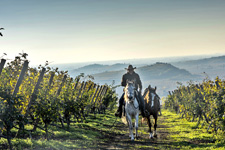 Italy-Veneto-Historic Veneto Ride